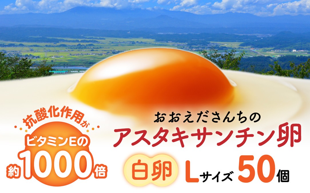
                  おおえだファーム 御皇卵 アスタキサンチン卵（白卵）Lサイズ 50個入り
                
