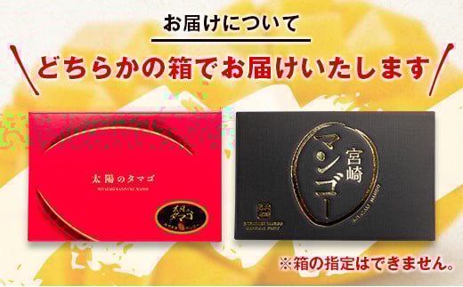 【7月16日終了】今が旬！最高級ブランド『太陽のタマゴ』2L×2個【糖度15度以上】宮崎県西都市産完熟マンゴー ＜2-76＞宮崎マンゴー 果物 フルーツ 甘い 