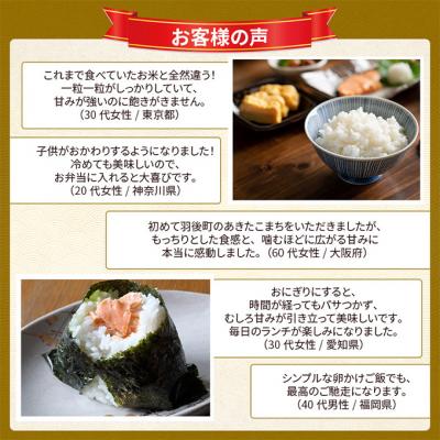 ふるさと納税 羽後町 【先行予約】令和8年産 秋田県産あきたこまち 20kg(5kg×4袋)[No.5325-0696] |  | 03