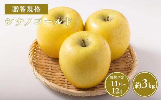 【令和7年産受付】贈答用シナノゴールド約3kg【青森県平川市産・青森りんご】