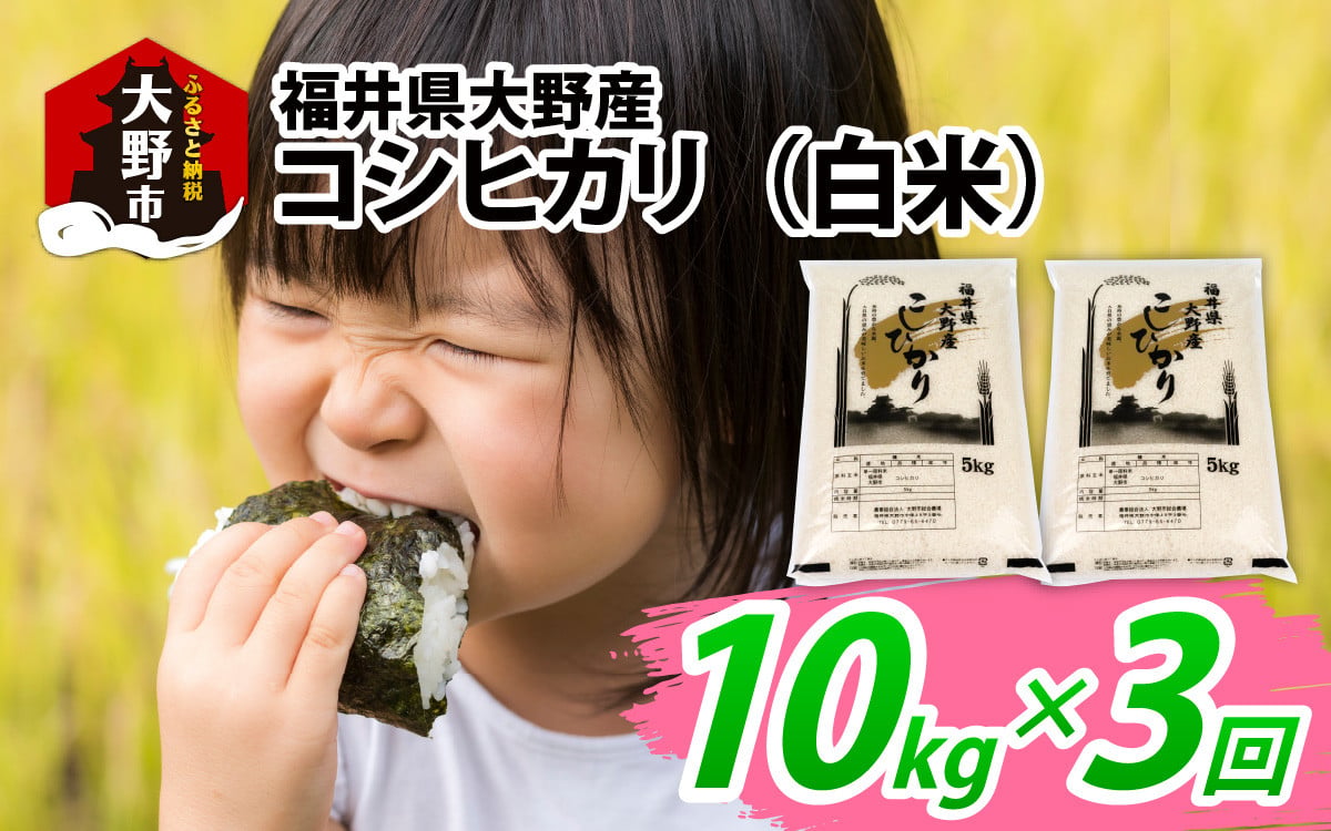 
                  【3ヶ月定期便】【令和7年産】福井県大野産コシヒカリ（白米）10kg(5kg×2袋)×3回 計30kg
                