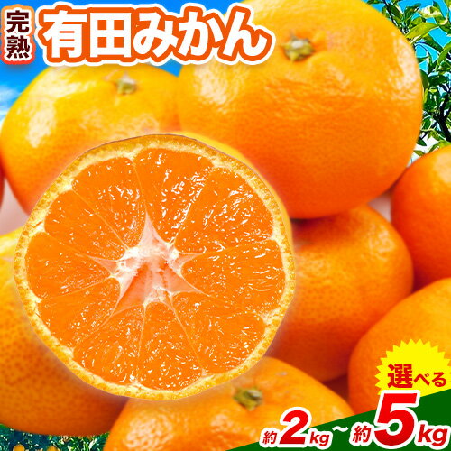 【ふるさと納税】みかん 完熟有田みかん 約 2kg 約 3kg 約 5kg 有田マルシェ《11月中旬-1月上旬頃出荷予定》 和歌山県 日高町 みかん 有田 みかん 柑橘 フルーツ 完熟 ミカン 蜜柑 送料無料