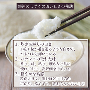 【6ヶ月定期便】 10kg 6か月定期便 米 計60kg 《岩手県産 一等米 銀河のしずく (5kg×2袋)×6回》  [米定期便 白米 定期便 お米 白米 定期便 東北米 定期便 岩手米 定期便 精