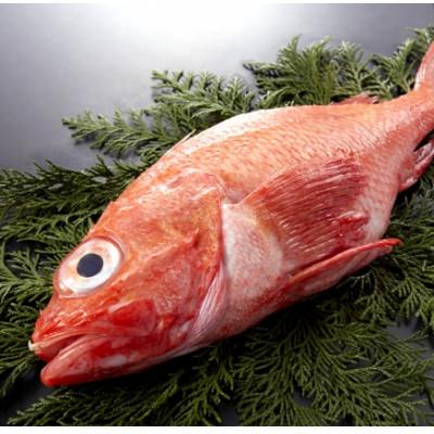 ふるさと納税 斜里町 【姿煮用・冷凍】 北海道産　キンキ(めんめ)1尾　300g前後 下処理済み 北海道斜里町産