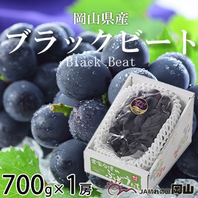 岡山県産　ブラックビート　700g×1房【配送不可地域：離島・北海道・沖縄県】【1400321】