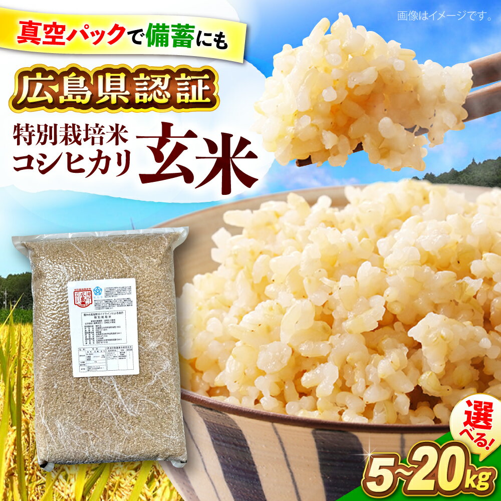【ふるさと納税】【先行予約】【9月中旬から順次発送】 特別栽培米 コシヒカリ 真空パック 玄米 5kg 10kg 15kg 20kg 新米 米 お米 こしひかり ご飯 コシヒカリ コメ 広島 三次市 / 小川モータース [APCH002]