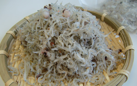 わけありちりめん500g / ちりめん ちりめんじゃこ 国産 冷蔵 化粧箱入り 魚 お魚 さかな 食品 和歌山県 由良町【uoms005】