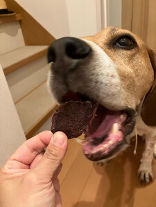 【完全無添加！】鹿肉ジャーキーと鹿の足の骨セット　【 ペットフード ジビエ 】