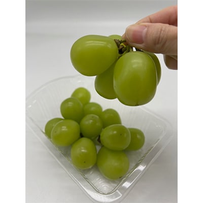 【発送月固定定期便】岡山県産 フルーツ定期便〈お一人様向け〉全6回【配送不可地域：離島・北海道・沖縄県】【4066369】