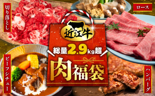 【数量限定】 近江牛 福袋 4種類 総量 2.9kg超 肉 切り落とし 550g すき焼き用 ロース 500g 近江小判ハンバーグ 15個 ビーフシチュー 250g × 3袋 豪華 一度に届く 冷凍 ギフト 肉 お取り寄せ 黒毛和牛 贈答用 ごはんのお供 三大和牛 ハンバーグ 惣菜 ブランド おかず 贈り物 自宅用 滋賀県 竜王町 岡喜 ふるさと納税 神戸牛 松阪牛 に並ぶ 日本三大和牛 お歳暮