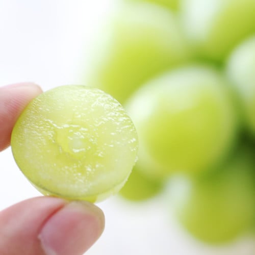 大粒で高糖度、酸味が少なくまろやかな甘みです。