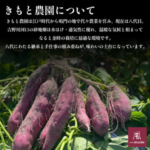 さつまいも 3kg SSサイズ なると金時 さつまいも