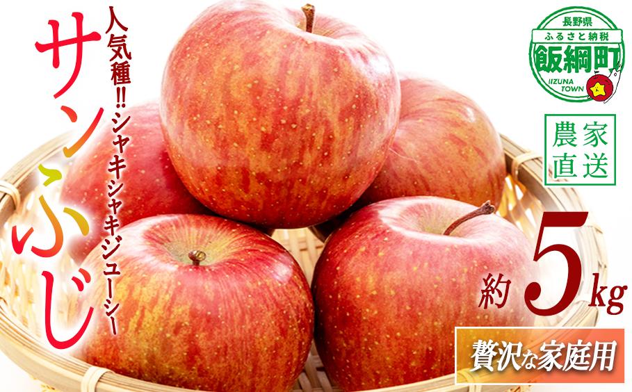 
                  りんご サンふじちょっぴり贅沢な  家庭用 5kg 松澤農園 沖縄県への配送不可 2026年11月下旬頃から2027年2月下旬頃まで順次発送予定 令和8年度収穫分 長野県 飯綱町 [0715]
                