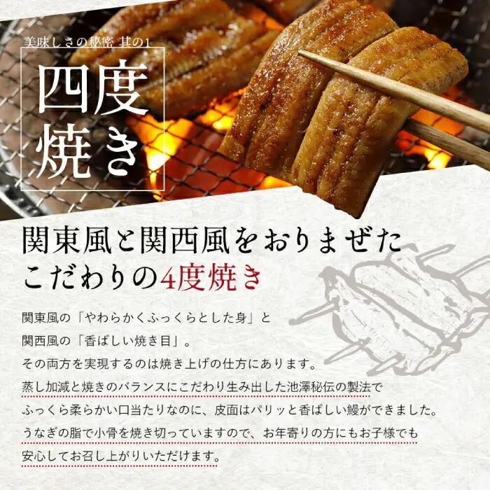 【最速発送】完全無投薬 仁淀川の伏流水で育てた贅沢うなぎ蒲焼き 大 (約200g×1尾) ギフトセット 池澤鮮魚 【池澤鮮魚オンラインショップ】 [ATBE007]　スピード 最短 最速 発送
