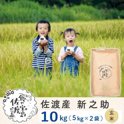 ふるさと納税 佐渡市 【新米予約】佐渡島産新之助 玄米10Kg(5Kg×2袋) 令和7年