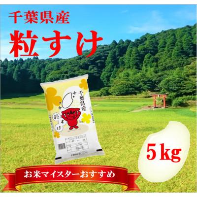 ふるさと納税 大網白里市 【令和6年産】千葉県産「粒すけ」精米 5kg(5kg×1袋)