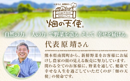 ７品目以上を基準に旬の野菜とお米をお届け