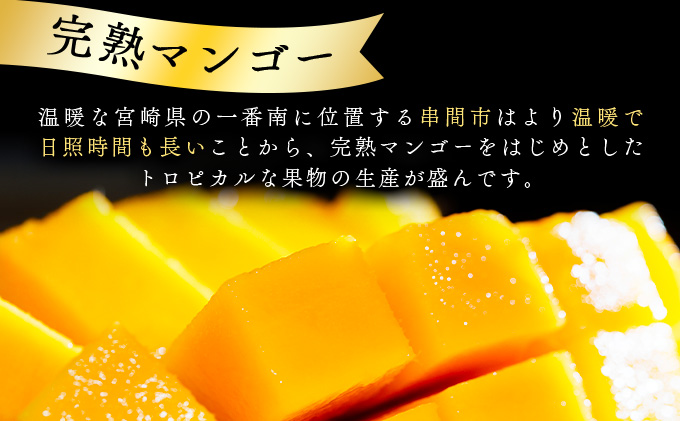 Y-CD9 宮崎県串間市産！完熟マンゴー(赤秀3L×2個)化粧箱入り【スーパーほりぐち】