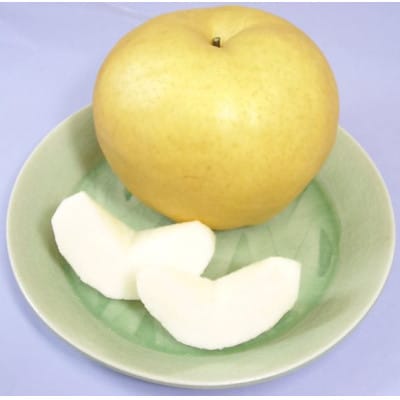 【2026年先行受付】あたご梨2玉(1.1kg×2玉)化粧箱【1184118】