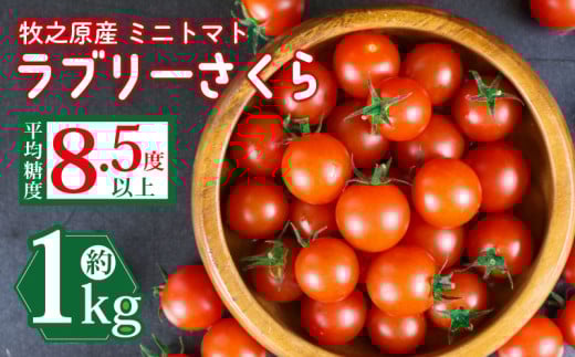 【先行予約】ミニ トマト フルーツ トマト ラブリーさくらとまと トマト みにとまと  甘み 夏 新鮮 野菜 完熟 サラダ パスタ トマトソース トマトスープ トマトジュース おやつ 健康 贈答 プレゼント お歳暮 国産 安心 農家直送 産地直送 静岡トマト 静岡とまと 静岡ミニトマト 静岡みにとまと   予約 受付 先行  やさい  1kg 国産 野菜 フルーツ 甘い 静岡県 牧之原市 山本農園