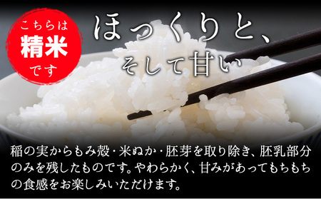 【6か月定期便】令和5年産 小さな竹美人 精米 4kg(2kg×2袋) 白米 株式会社コモリファーム《お申込み月の翌月から出荷開始》