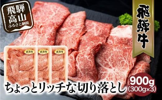 飛騨牛 切り落とし 300g×3パックセット | みすじ ウデ すき焼き しゃぶしゃぶ  希少部位 900g 和牛 国産牛 冷凍 飛騨高山 飛騨牛のこもり FC009VC13