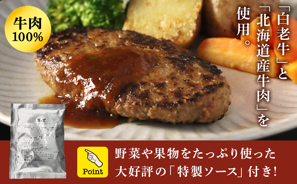 【5営業日以内発送】牛の里ビーフハンバーグ（110g×6個）特製ソース（6袋）の詰合せ AG106