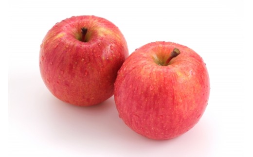 【先行予約】信州産 訳ありりんご【品種おまかせ】約３kg(8～１２玉) 【秋映・シナノスイート・シナノゴールド・名月・サンふじ】《2026年10月上旬頃から発送》 | 果物 くだもの フルーツ 林檎 りんご リンゴ 信州産 秋映 シナノスイート シナノゴールド 名月 サンふじ ワケあり 家庭用 長野県 塩尻市