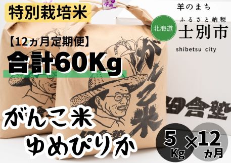 【北海道士別市】（12ヵ月定期便）田舎塾特別栽培米 「がんこ米ゆめぴりか」5kg×12ヵ月