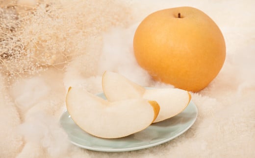 【2026年発送分】新雪梨(特秀) 5kg