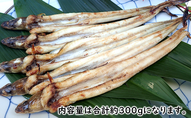 あなご 先行予約 山銀商店 白焼き あなご (合計約300g) 産地直送 穴子 魚介類 アナゴ 