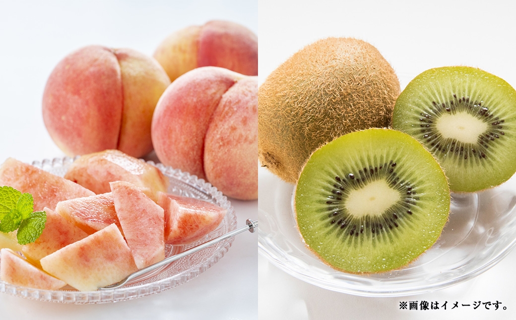 【 3回定期便 】 中央市産 とうもろこし、もも、キウイフルーツ