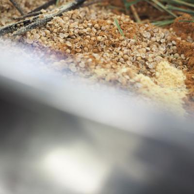 ふるさと納税 喜界町 TOBA TOBA グラノーラ250g |  | 03