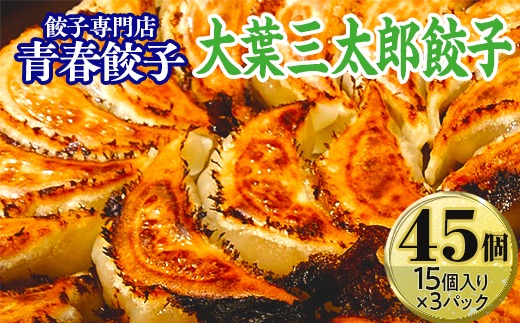 餃子専門店青春餃子　大葉三太郎餃子15個入り×3パック 45個