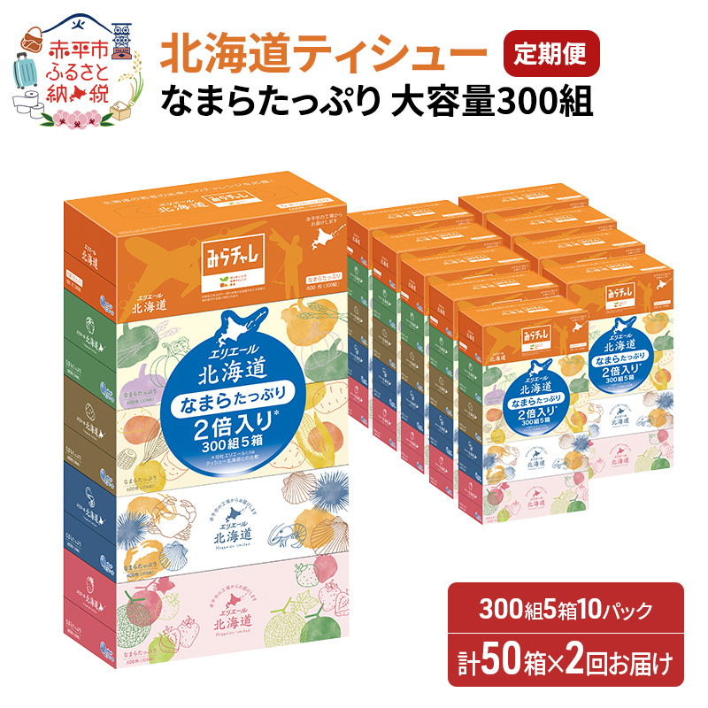 2回お届け 計100箱 エリエール 北海道 ティシュー なまらたっぷり 300組5箱 10パック 大容量 まとめ買い 防災 常備品 備蓄品 消耗品 日用品 生活必需品 送料無料 赤平市 ストック 