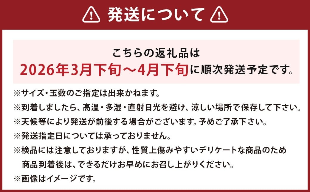 【数量限定】長崎県　時津町産 不知火 約3kg