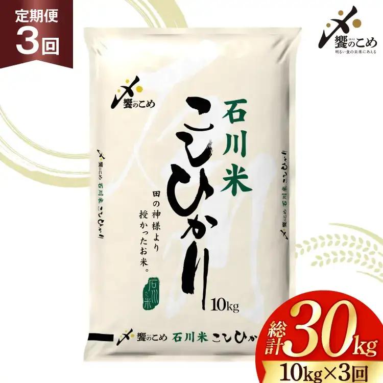 【定期便 3回】 石川米 こしひかり 米 10kg