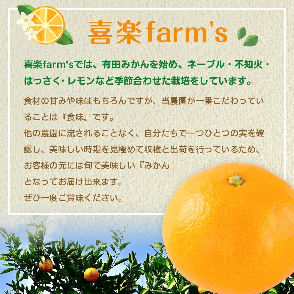 有田みかん サイズ不揃い 10kg みかん 温州 柑橘 和歌山 産地直送 喜楽farms