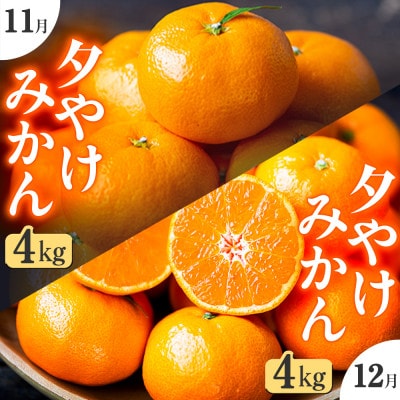 【発送月固定定期便】「こたつの上の冬物語」夕やけみかん(4kg)【E49−71】全2回【4056122】