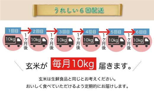 ＜令和6年産米＞ 令和7年4月下旬より配送開始 コシヒカリ【玄米】60kg定期便(10kg×6回)　鮭川村