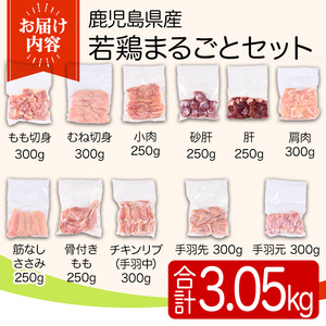 y539 鹿児島県産若鶏まるごとセット(合計3.05kg) 国産 鶏肉 鳥肉 肉 若鶏 お肉 もも肉 モモ肉 むね肉 ムネ肉 胸肉 ささみ ササミ 筋なし 砂肝 肝 手羽先 キチンリブ 手羽元 肩肉 