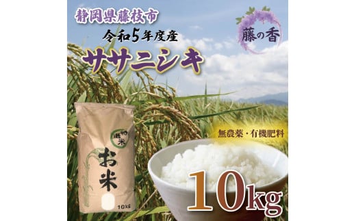 お米 藤の香 ササニシキ 古米 10kg 令和5年度産 静岡県産 静岡のお米 おこめ ご飯 ごはん 国産 産地直送 静岡県 藤枝市 