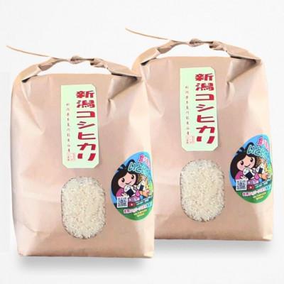 ふるさと納税 糸魚川市 新潟県産 糸魚川産令和7年産 コシヒカリ 100% 精米 3kg×2
