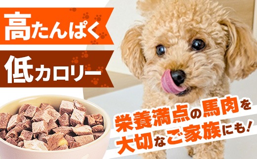 馬肉100％ ペットフード - フリーズドライ ペット 小分け 餌 常温 馬肉 栄養豊富 健康 ペット用 ペット用おやつ 熊本県 甲佐町
