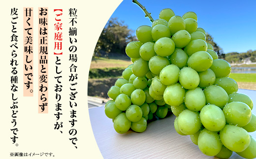 【訳あり】シャインマスカット3房（2.0kg以上）【2025年10月中旬～11月上旬発送予定】（星のさと・ぶどう工房）