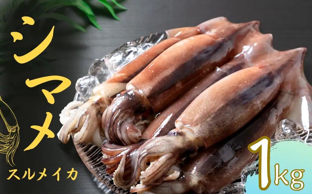 旨味たっぷり！旬の朝どれシマメ（スルメイカ）丸ごと5～6本（1kg以上）＜便利な個包装＞お歳暮 お正月