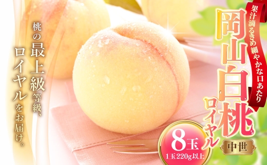岡山白桃 （ 中世 ） 8玉 （ 1玉220g以上 ） 果汁 糖度 果肉 有袋栽培 くだもの 果物 果実 白桃 もも モモ 桃 国産 岡山県産 フルーツ 【 2026年7月上旬～8月下旬発送予定 】
