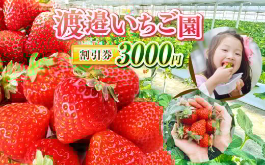 【 千葉県君津市 渡邉いちご園 】 割引券 3000円 |  いちご狩り いちご ストロベリー イベント チケット 利用券 いちご園 割引 割引チケット 観光 千葉県 君津市