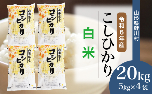 ＜令和6年産米＞令和7年6月下旬発送　コシヒカリ 【白米】 20kg （5kg×4袋） 鮭川村