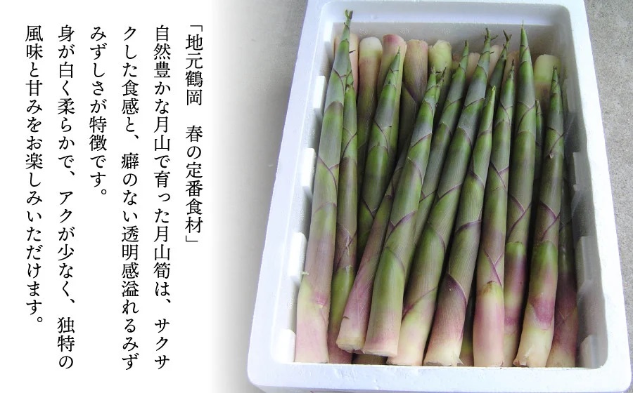 【令和8年産先行予約】 月山筍 1kg　山形県鶴岡市産 K-830 JA庄内たがわ